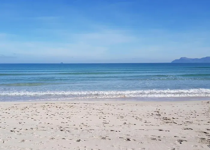 Ideal Property Mallorca - Barcares Nou